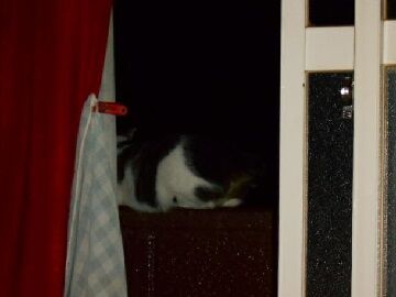 9月13日（18-8）仮