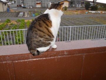 2月14日（22）仮