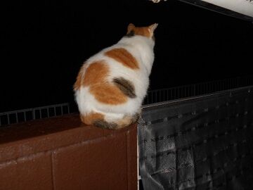 9月21日（3-18）仮