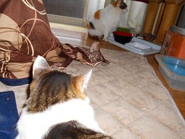 3月27日（16）仮