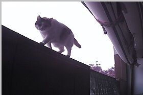 12月30日（21）仮