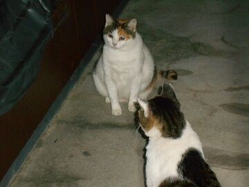 9月30日（20-12）仮