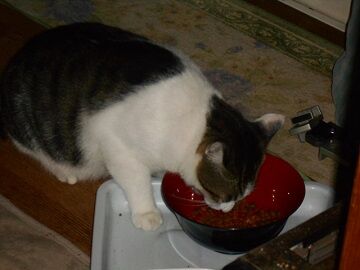 9月12日（22-1）仮