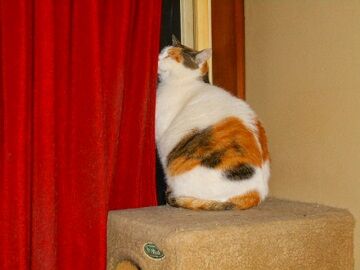 12月22日（32）仮