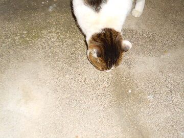 1月22日（63）仮