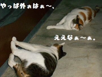 9月24日（19-10）仮