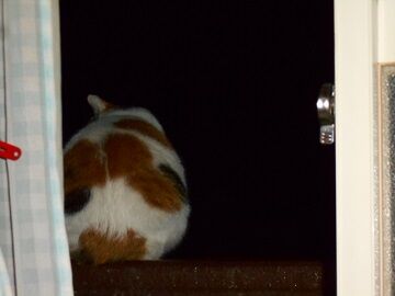 9月29日（20-11）仮