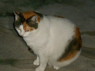 9月23日（20-7）仮