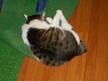 10月7日（23）仮