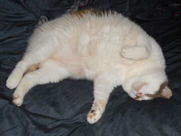 6月30日（13）仮