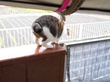 10月19日（6）仮