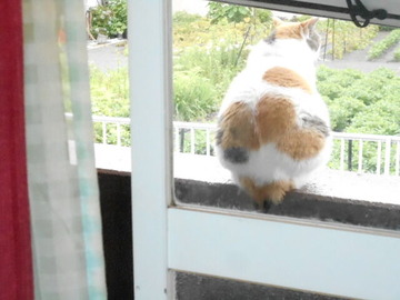 7月19日（23）仮