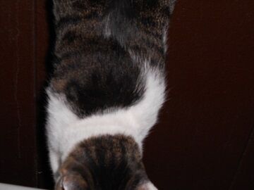 10月4日（22-1）仮