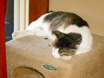 6月25日（41）仮