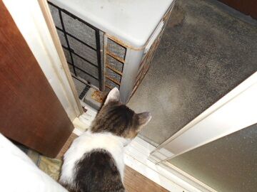 9月12日（22-15）仮