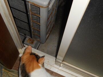 9月28日（4-4）仮