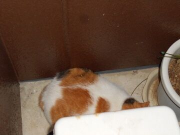 9月7日（20-3）仮