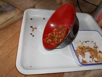 9月14日（5-0.5）仮