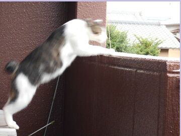 8月28日（77）仮