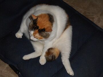 9月29日（22-2）仮