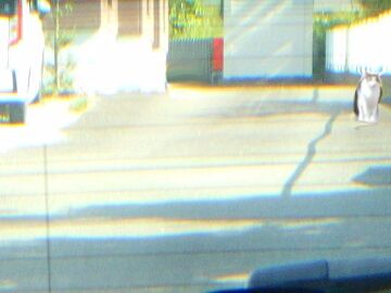 5月24日（20）仮