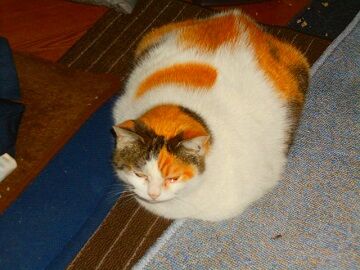 3月21日　8-49-2使用