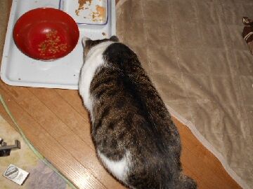 9月23日（2-7）仮