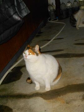 2月16日（37）仮