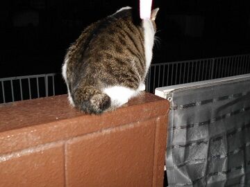 9月13日（18-4）仮