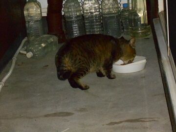 5月23日（55）仮