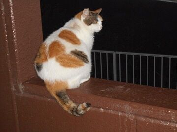 8月29日（17）仮