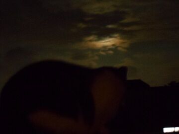 10月1日（18-19）仮