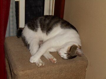 9月2日（23－3）仮