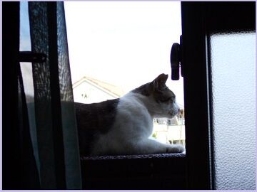 6月25日（11）仮