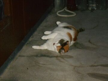 9月23日（20-6）仮