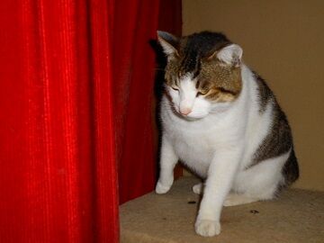 2月16日（57）仮