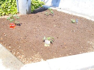 5月29日（19）仮