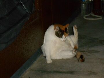 10月1日（18-11）仮