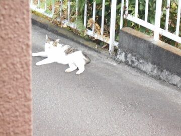 9月30日（43）仮