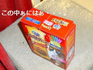 4月19日(11)仮