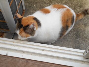 9月30日（7-5）仮