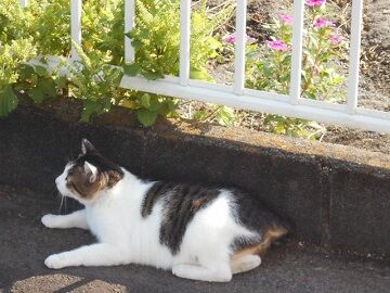 10月2日（9-2）仮