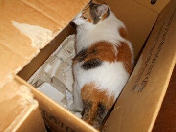 10月7日（26）仮