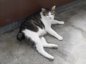 9月13日（7-5）仮