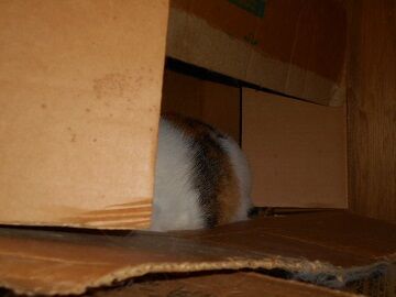 9月21日（8-7）仮