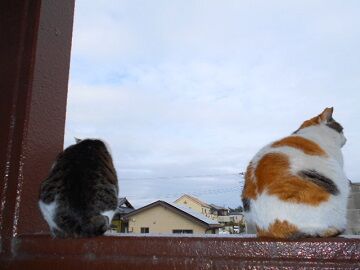 3月30日（27）仮