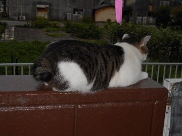 9月13日（5-20）仮