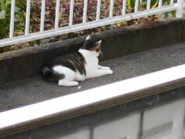 9月30日（37）仮