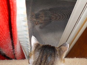 6月12日（27）仮