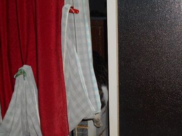 10月1日（5-6）仮